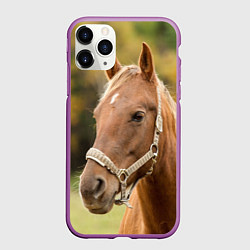 Чехол iPhone 11 Pro матовый Взгляд лошади, цвет: 3D-фиолетовый
