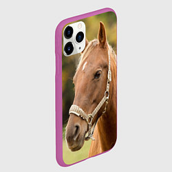 Чехол iPhone 11 Pro матовый Взгляд лошади, цвет: 3D-фиолетовый — фото 2
