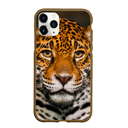 Чехол iPhone 11 Pro матовый Взгляд ягуара, цвет: 3D-коричневый