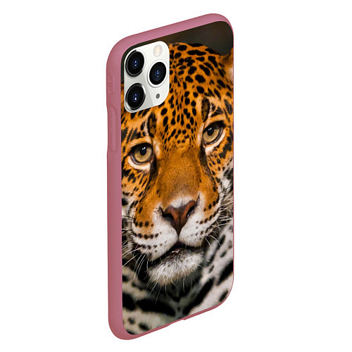 Чехол iPhone 11 Pro матовый Взгляд ягуара / 3D-Малиновый – фото 2