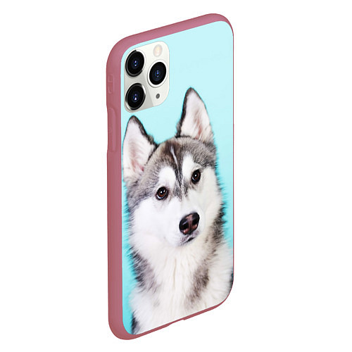 Чехол iPhone 11 Pro матовый Blue / 3D-Малиновый – фото 2