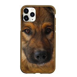 Чехол iPhone 11 Pro матовый Взгляд собаки, цвет: 3D-коричневый