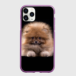 Чехол iPhone 11 Pro матовый Рыжий Шпиц, цвет: 3D-фиолетовый