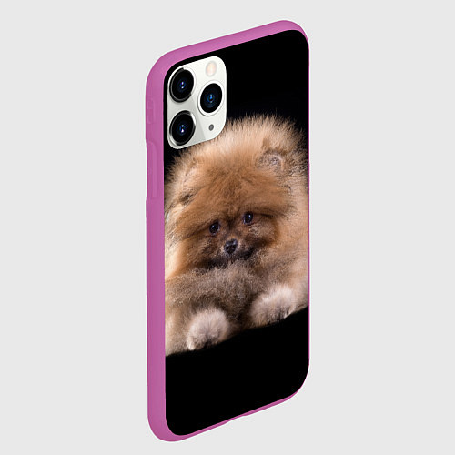 Чехол iPhone 11 Pro матовый Рыжий Шпиц / 3D-Фиолетовый – фото 2
