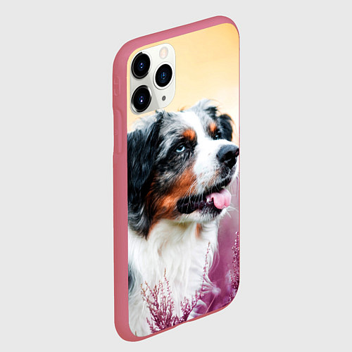 Чехол iPhone 11 Pro матовый Австралийская Овчарка / 3D-Малиновый – фото 2