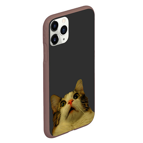 Чехол iPhone 11 Pro матовый Коте смотрит вверх / 3D-Коричневый – фото 2