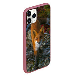 Чехол iPhone 11 Pro матовый Лиса, цвет: 3D-малиновый — фото 2