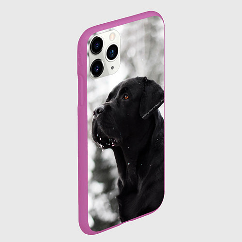 Чехол iPhone 11 Pro матовый Лабрадор Марк / 3D-Фиолетовый – фото 2