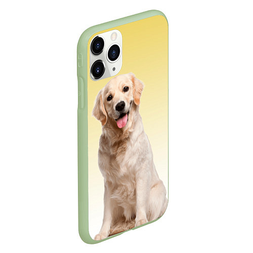 Чехол iPhone 11 Pro матовый Лабрадор ретривер пес / 3D-Салатовый – фото 2