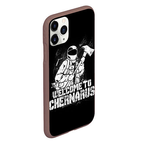 Чехол iPhone 11 Pro матовый DayZ Chernarus / 3D-Коричневый – фото 2