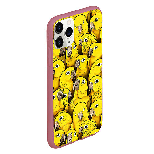 Чехол iPhone 11 Pro матовый Попугаи / 3D-Малиновый – фото 2