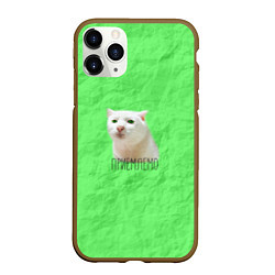 Чехол iPhone 11 Pro матовый Приемлемо кот мем