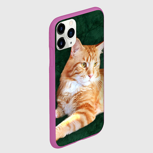 Чехол iPhone 11 Pro матовый Мейн кун рыжий кот / 3D-Фиолетовый – фото 2
