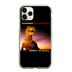 Чехол iPhone 11 Pro матовый DVD Moment Of Glory - Scorpions feat Berliner Phil, цвет: 3D-салатовый