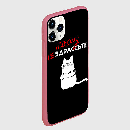 Чехол iPhone 11 Pro матовый Неприветливый кот / 3D-Малиновый – фото 2