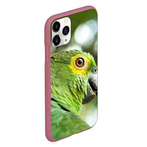 Чехол iPhone 11 Pro матовый Попугaй / 3D-Малиновый – фото 2