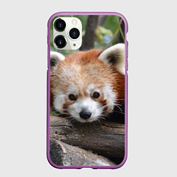 Чехол iPhone 11 Pro матовый Красная панда, цвет: 3D-фиолетовый