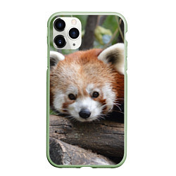 Чехол iPhone 11 Pro матовый Красная панда, цвет: 3D-салатовый