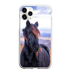 Чехол iPhone 11 Pro матовый Черный конь, цвет: 3D-белый