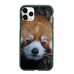 Чехол iPhone 11 Pro матовый Крaсная панда, цвет: 3D-темно-зеленый