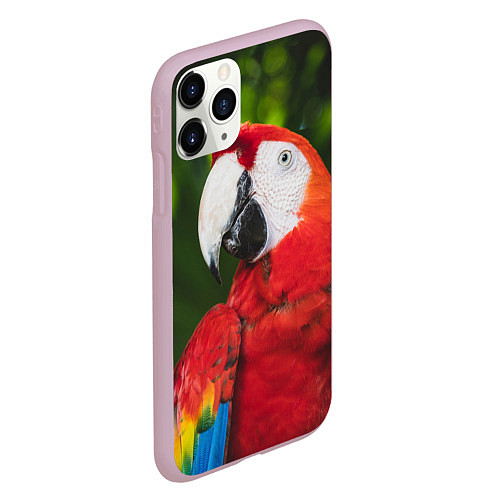 Чехол iPhone 11 Pro матовый Красный попугай Ара / 3D-Розовый – фото 2