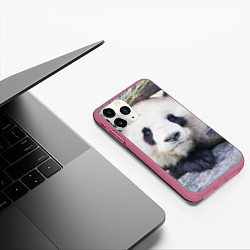 Чехол iPhone 11 Pro матовый Панда отдыхает, цвет: 3D-малиновый — фото 2