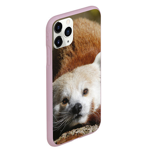 Чехол iPhone 11 Pro матовый Красная панда ждёт / 3D-Розовый – фото 2