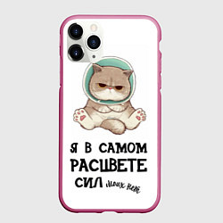 Чехол iPhone 11 Pro матовый Я в самом расцвете сил, цвет: 3D-малиновый