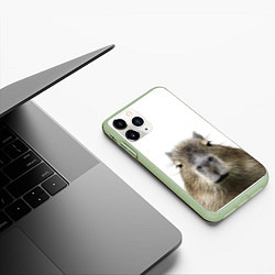 Чехол iPhone 11 Pro матовый Капибара пофигист, цвет: 3D-салатовый — фото 2