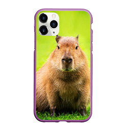 Чехол iPhone 11 Pro матовый Capybara on green grass, цвет: 3D-фиолетовый