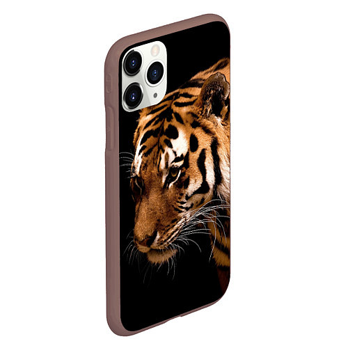 Чехол iPhone 11 Pro матовый Тигрица / 3D-Коричневый – фото 2