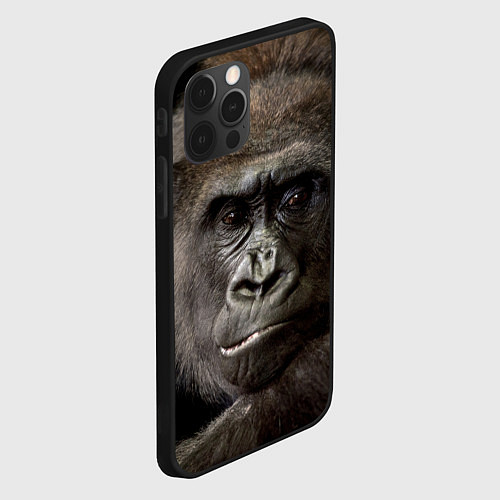 Чехол iPhone 12 Pro Max Глаза гориллы / 3D-Черный – фото 2