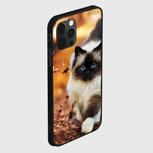 Чехол iPhone 12 Pro Max Котик в листьях / 3D-Черный – фото 2