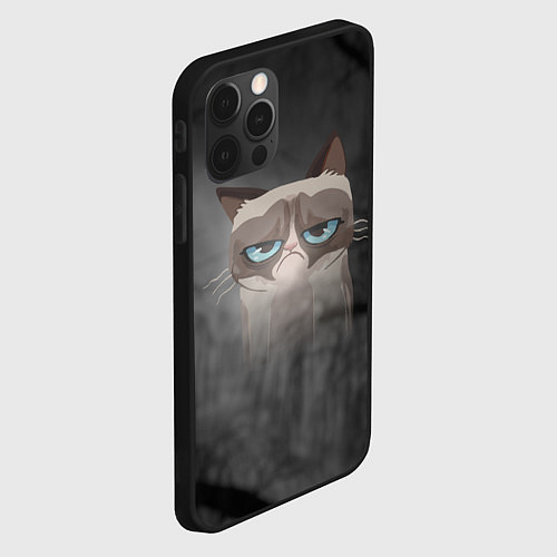 Чехол iPhone 12 Pro Max Grumpy Cat / 3D-Черный – фото 2