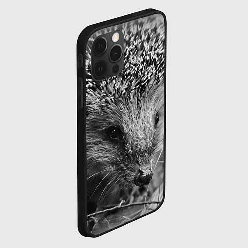 Чехол iPhone 12 Pro Max Взгляд ёжика / 3D-Черный – фото 2