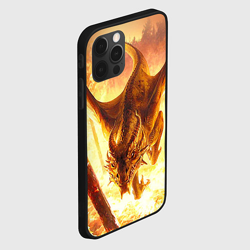 Чехол iPhone 12 Pro Max Дракон / 3D-Черный – фото 2