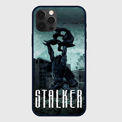 Чехол для iPhone 12 Pro Max STALKER: Pripyat, цвет: 3D-черный