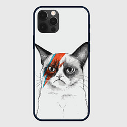 Чехол для iPhone 12 Pro Max David Bowie: Grumpy cat, цвет: 3D-черный