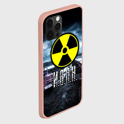 Чехол iPhone 12 Pro Max S.T.A.L.K.E.R: Иван / 3D-Светло-розовый – фото 2