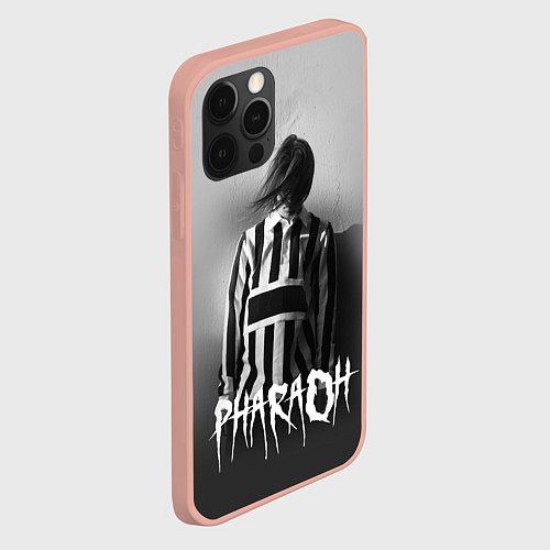 Чехол iPhone 12 Pro Max Pharaoh: Black side / 3D-Светло-розовый – фото 2