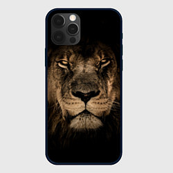 Чехол для iPhone 12 Pro Max Львиный взгляд, цвет: 3D-черный