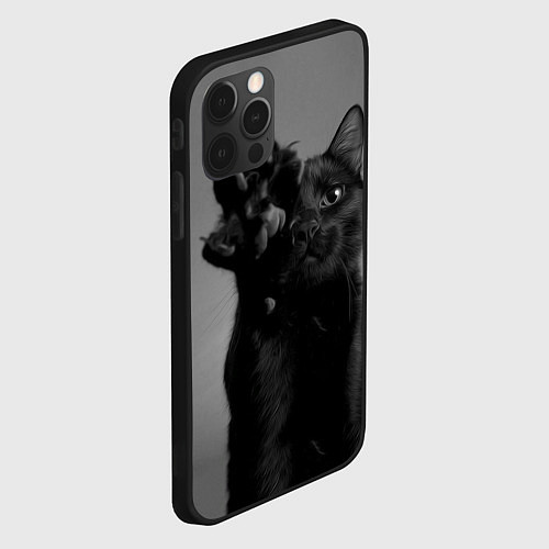 Чехол iPhone 12 Pro Max Черный котик / 3D-Черный – фото 2