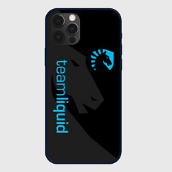 Чехол для iPhone 12 Pro Max TEAM LIQUID, цвет: 3D-черный