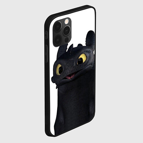 Чехол iPhone 12 Pro Max Черная фурия / 3D-Черный – фото 2