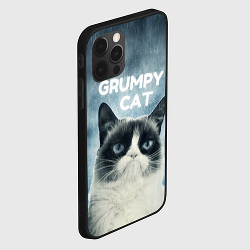 Чехол iPhone 12 Pro Max Grumpy Cat / 3D-Черный – фото 2