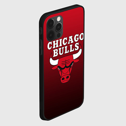 Чехол iPhone 12 Pro Max CHICAGO BULLS / 3D-Черный – фото 2