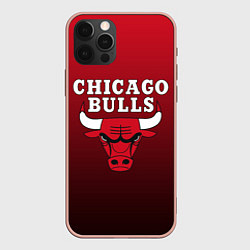 Чехол для iPhone 12 Pro Max CHICAGO BULLS, цвет: 3D-светло-розовый