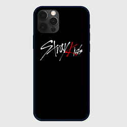 Чехол для iPhone 12 Pro Max STRAY KIDS, цвет: 3D-черный