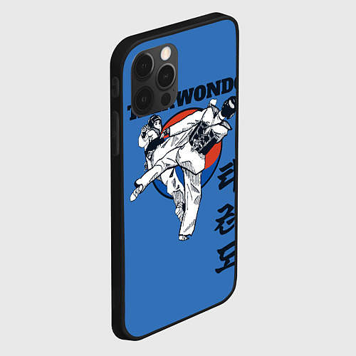 Чехол iPhone 12 Pro Max Taekwondo / 3D-Черный – фото 2