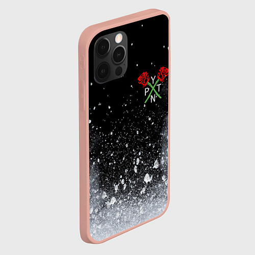 Чехол iPhone 12 Pro Max Payton Moormeier / 3D-Светло-розовый – фото 2